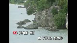 13. Hold Me In Your Arms - Regine Velasquez