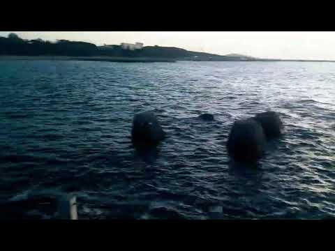 Sea Weave Japan | Coastal Protection, Shoreline Defense, and Engineering Innovation