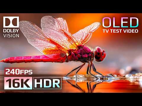 Mind-Blowing 16K HDR 240 fps | Dolby Vision OLED Demo (For 8K/4K TV)