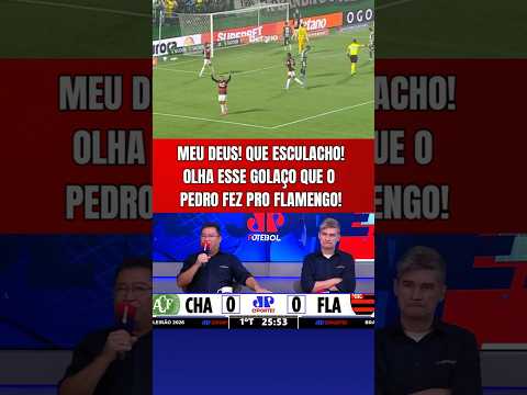QUE PINTURA!!! PEDRO FAZ GOLAÇO MARAVILHOSO PARA O FLAMENGO CONTRA A CHAPECOENSE!
