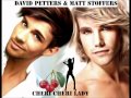David Petters - Cheri Cheri Lady 