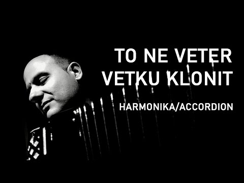 Vlada Veselinović: TO NE VETER VETKU KLONIT [harmonika / аккордеон / accordion / instrumental]