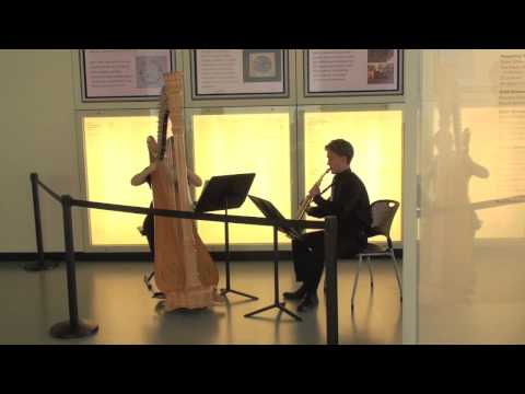 fresh inc 2013, Racine Art Museum, Bernard Andrès, Algues