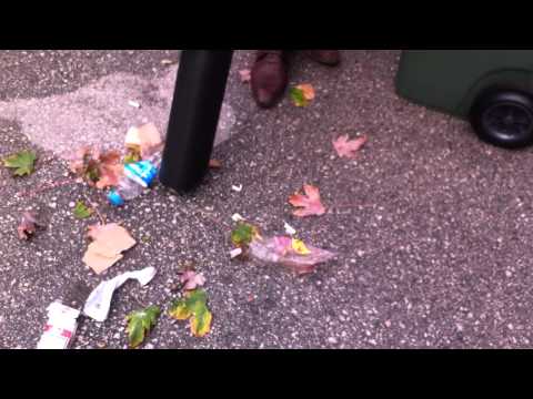 Yaprakmatik Yaprak ve çöp Toplama makinası