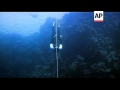 Free diving thriving in Egypt's Dahab Red Sea ...