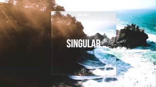 Turkez & WILL B - Singular