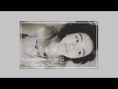 A Goose's Dream {In Soo In} Cover by Chelle