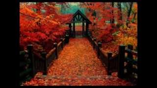 Lee Ritenour "Shape Of My Heart" feat: Steve Lukather, Andy McKee