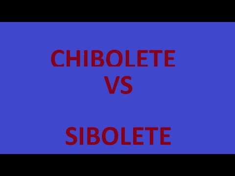 Chibolete VS Sibolete !!!