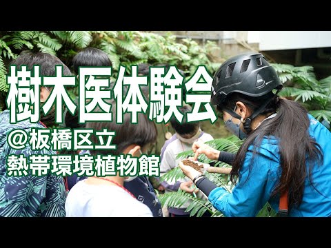 板橋区立熱帯環境植物館 様の事例