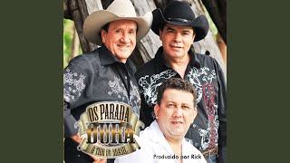A Tampa E A Panela Lyrics English Translation