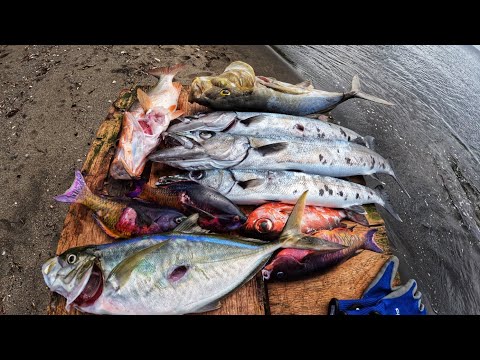 This is what 2 hours of spearfishing gives you in St.Vincent #caribbean #fishing 