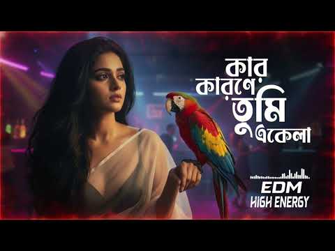 Moyna go || High Energy Electro Dance Mix || Bengali Classic EDM || Lata Mangeshkar