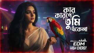 Download lagu Moyna go || High Energy Electro Dance Mix || Bengali Classic EDM || Lata Mangeshkar mp3