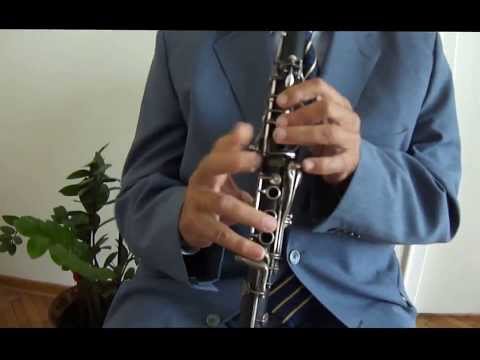 Božidar Boki Milošević - Macedonian girl (Famous Macedonian folk song)