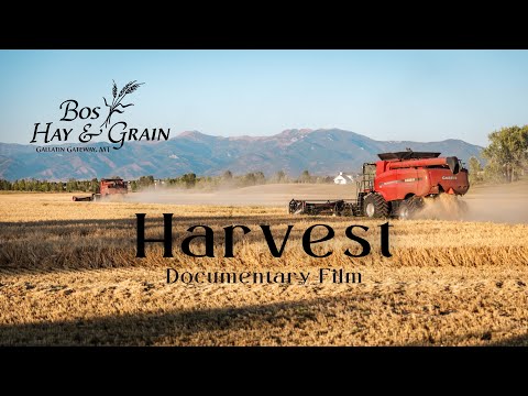 Something Deeper | A Montana Harvest Story