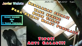 Download lagu Kesalahan FATAL yang sering dilakukan petani walet pemula||Kunci sukses RBW di 1 tahun pertama mp3 Download lagu Kesalahan FATAL yang sering dilakukan petani walet pemula||Kunci sukses RBW di 1 tahun pertama mp3