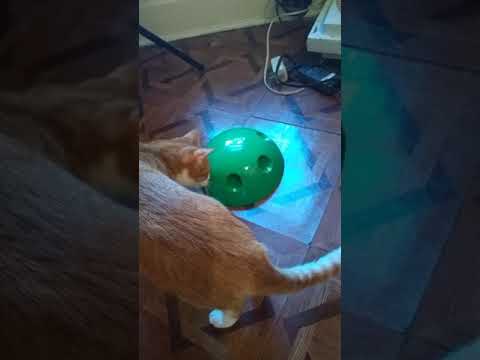 Lonnie and Christabel with Pop n Play