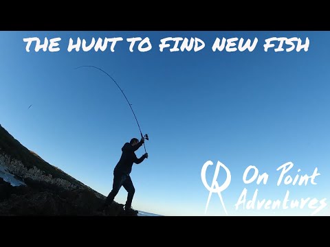 Fishing Perth Metro Landbased, In Search Of New Ground.