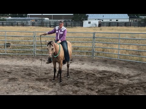 Jack’s Bareback Bullwhip Lesson - Day 32 - Ride 16