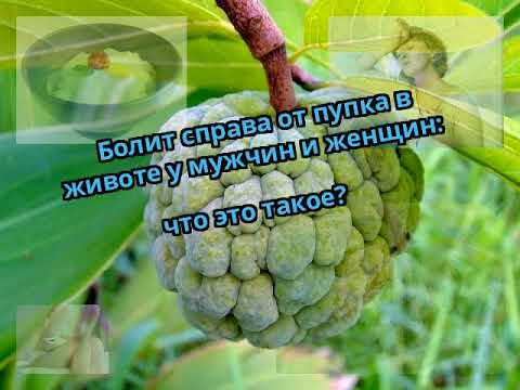Какие боли если застудишь поясницу Защемление шейной артерии лечение