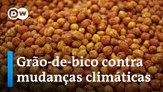 Miniatura do vídeo