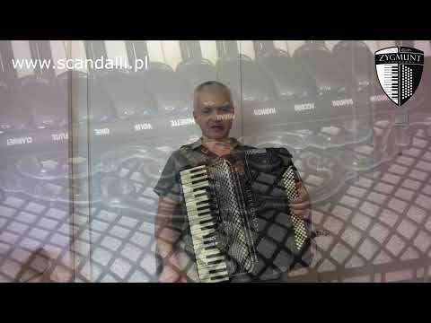 Akordeon Scandalli Super VI Extreme (piccolo/wysoka oktawa + tremolo 10, LMMH) - prezentacja modelu