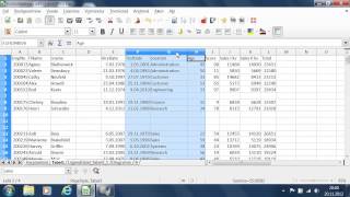 LibreOffice Calc - 6 Read ja veerud 3