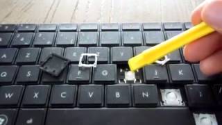 Miniature de la vidéo