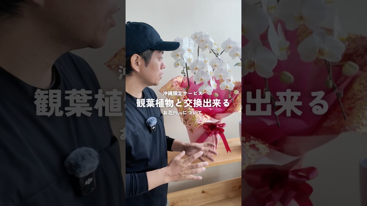 観葉植物と交換できる お花Plusとは？