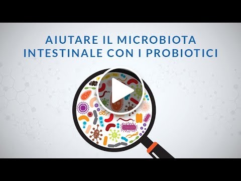 I probiotici e il microbiota intestinale: di cosa parliamo?