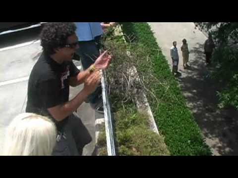 Kerli's Challenge w/ 99X's Lewis