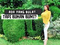 PAMELA SAFITRI HOT