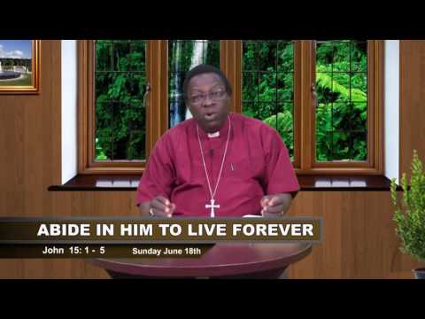 DAILY FOUNTAIN OF JUNE 18TH 2017.