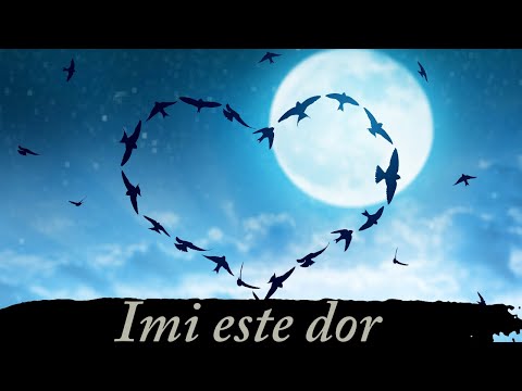 O poezie pe care doar cei care se iubesc la distanta o vor intelege !