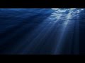 Deep Blue Sea - Susan Softens & Aftermath (Soundtrack)