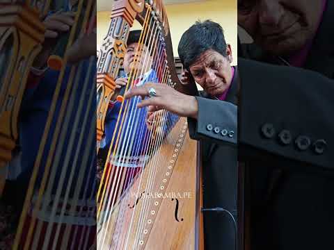 Chimaychis de Pomabamba #ancash #Huaynos #Ancashinos