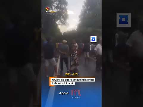 Árvore cai em ambulância na BR-415 entre Itabuna e Ibicaraí. #bahia #noticias