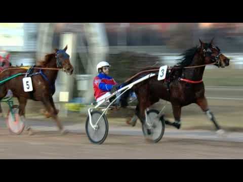 Lósport: Szilveszteri ügető futamok a Kincsem Parkból