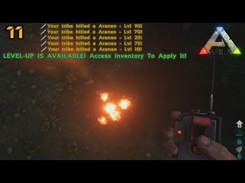 B O O M  | ARK: The Center Ep. 11