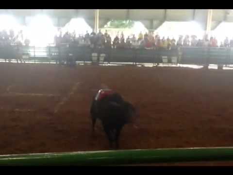 602 Wild Child Promo Video