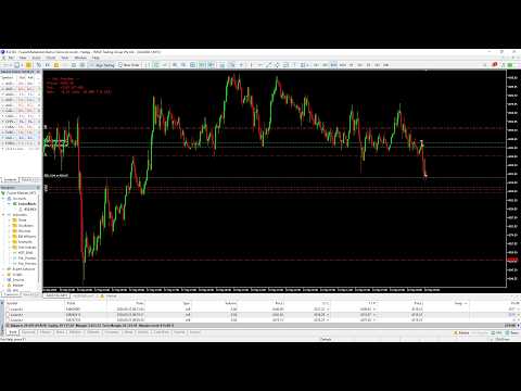 Video PnL Preview
