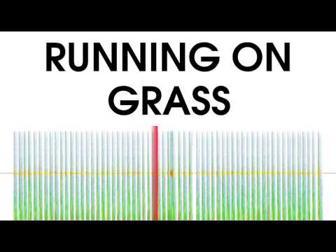 Running On Grass Sound Effect