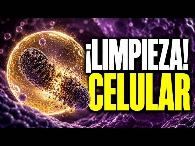 Vídeo relacionado con La cura más antigua del mundo: Descubrimientos en el arte y la ciencia del ayuno (Nutrición y salud)