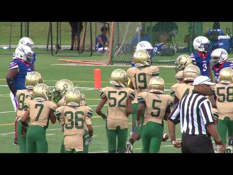 8.12.17 Peachtree Ridge NN  vs. Grayson AS (Woodring) - 11 Year Olds - Bay Creek Park Jamboree