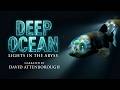 David Attenborough Deep Ocean Lights In The Abyss