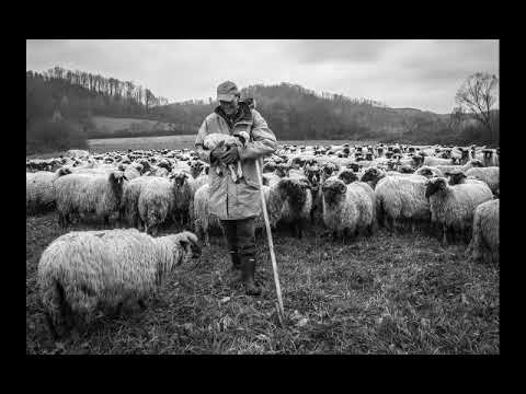 VLAŠKA SVIRKA NA DUDUKU - RADOVAN JONOVIĆ IZ ŠLJIVARA (VlaškiMelos)