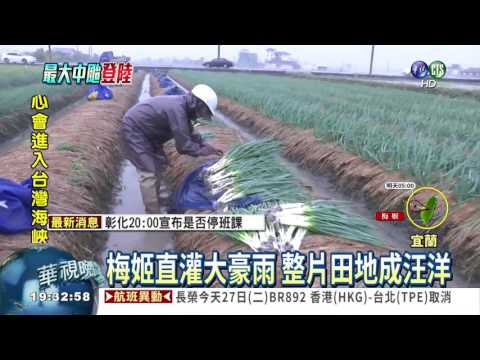 農田變汪洋... 宜蘭遭摧殘重傷