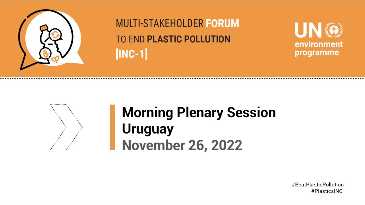 Morning Plenary of the Multi-stakeholder Forum, November 26, 2022 Uruguay
