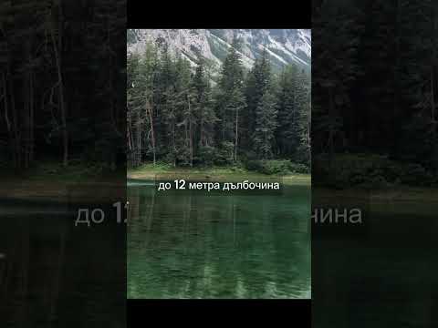 Парк Грюнер Зее / Зеленото езеро -  Австрия